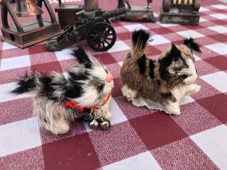 Gatos miniatura pelo