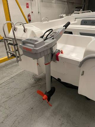 Motor fueraborda eléctrico Torqeedo 1003