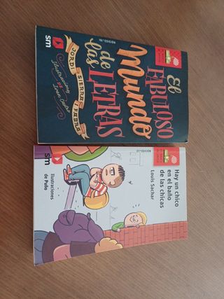 El maravilloso mundo de las letras Hay un chico en