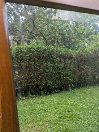 Espejo madera marrón , con cristal biselado.