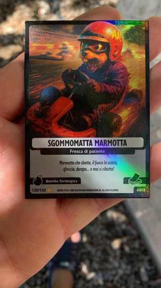 sgommomatta marmotta