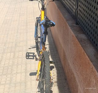 Bicicleta Montaña 24" Aluminio JUNIOR