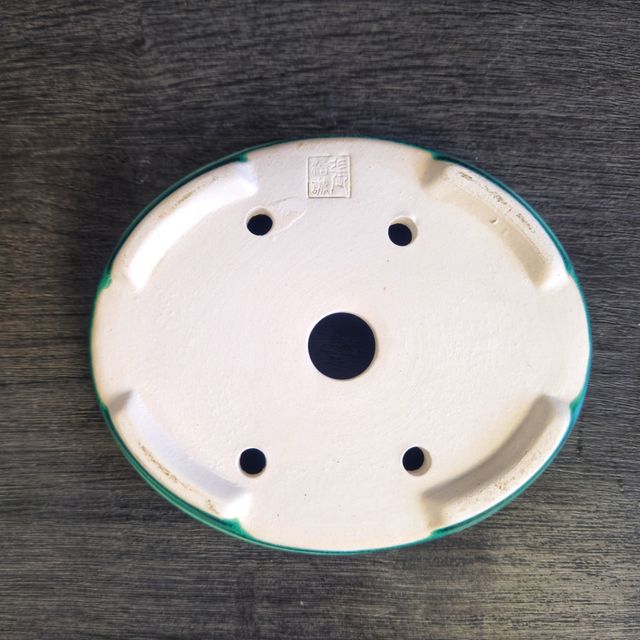 Vaso bonsai Cerâmica Verde | 13cm