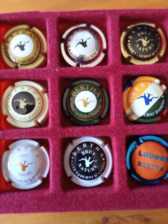 Xapas cava Bertha - 9 uds