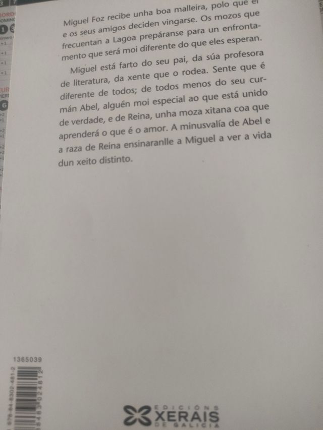 Unha estrela no vento (Infantil E Xuvenil) (Gal...