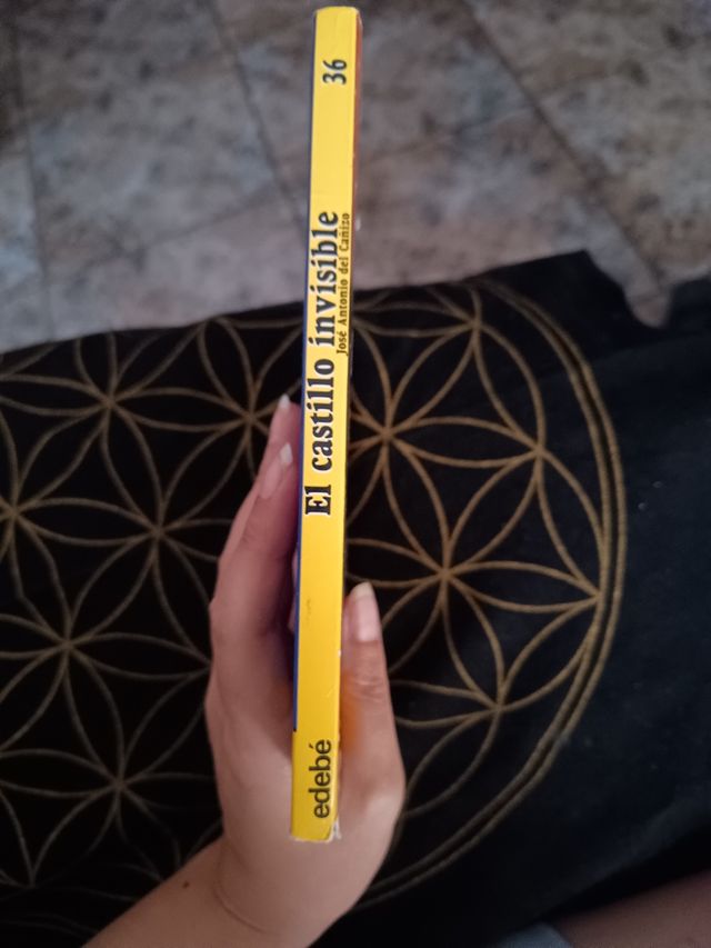El castillo invisible de José Antonio del Cañizo