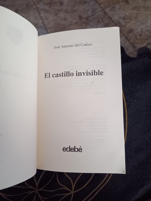 El castillo invisible de José Antonio del Cañizo