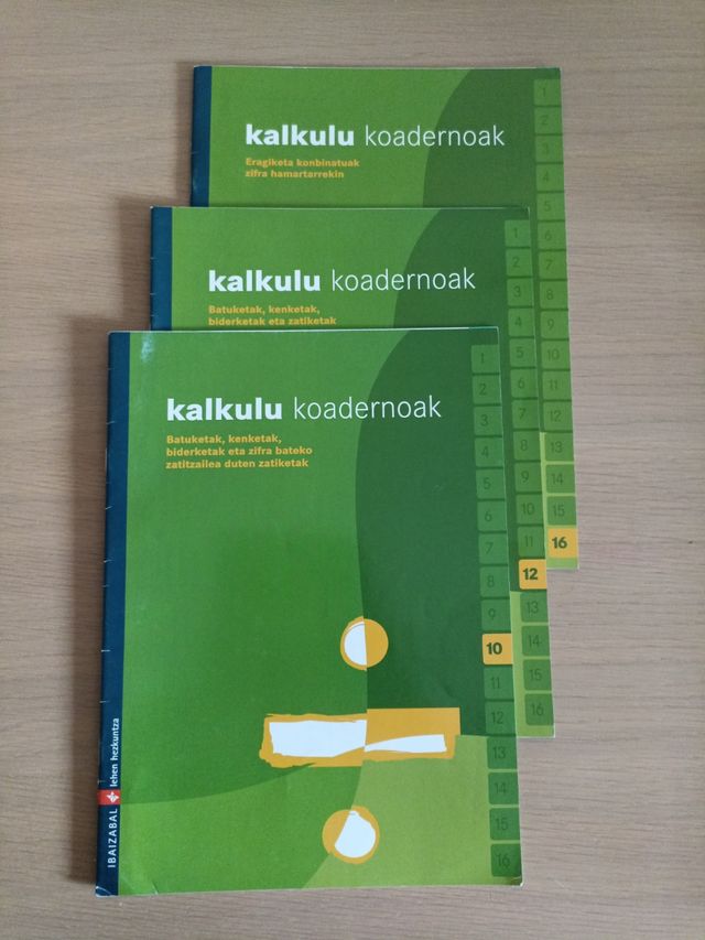 Kalkulu koadernoak 10: Batuketak, kenketak, biderketak eta zifra bateko zatitzailea duten zatiketak