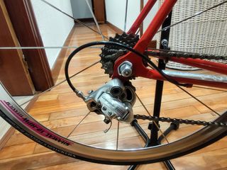 Bicicleta Carretera Razesa Titanio impecable