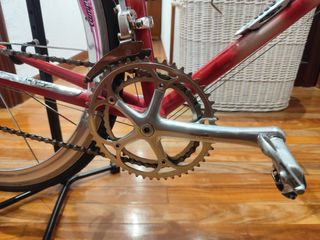 Bicicleta Carretera Razesa Titanio impecable