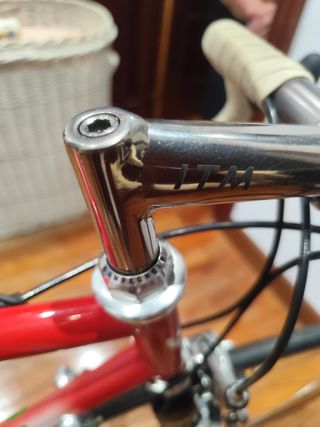 Bicicleta Carretera Razesa Titanio impecable
