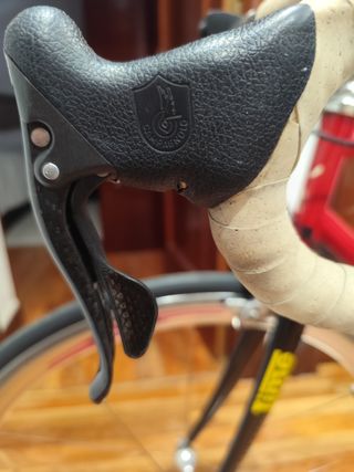 Bicicleta Carretera Razesa Titanio impecable