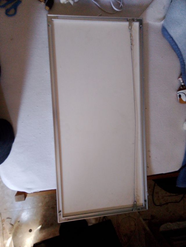 Cuadro león enmarcado dorado