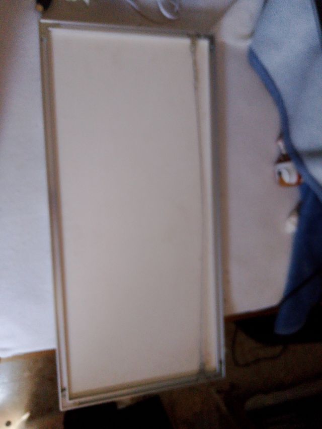 Cuadro león enmarcado dorado