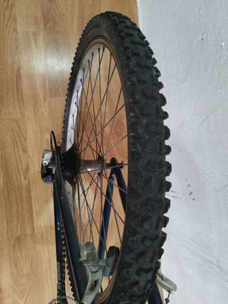 Bicicleta montaña