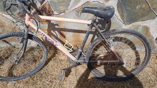 A la basura en octubre Bicicletas antiguas - 5 uni