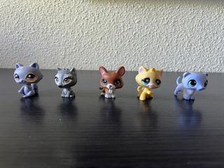 5 LPS: Gatos, lobo y hurón