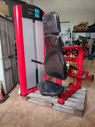 FONDOS DE PECHO Y TRICEPS NUEVA!