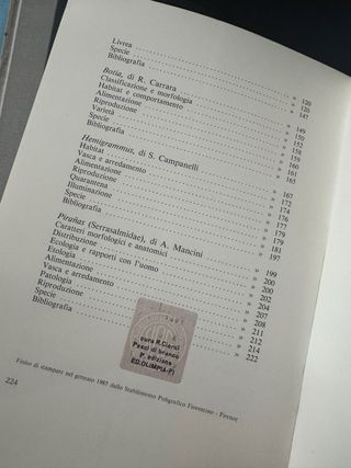 Pesci di branco - editoriale Olimpia