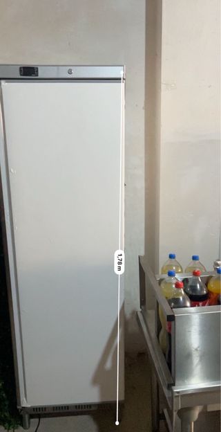 Frigorífico profesional