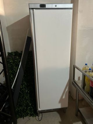 Frigorífico profesional