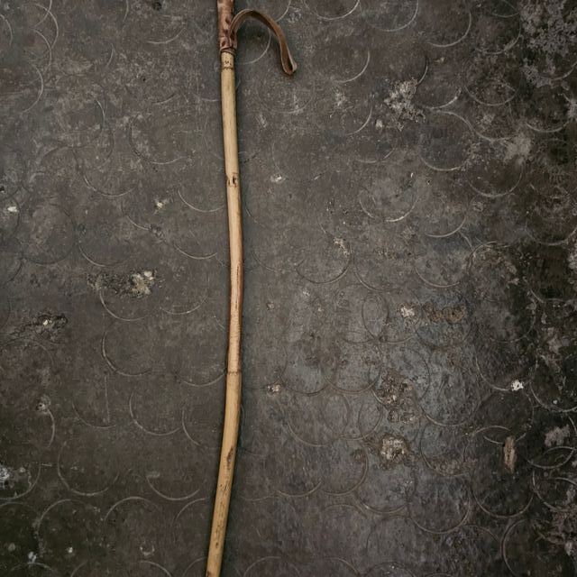 Frusta per Cavalli - Frusta in Legno