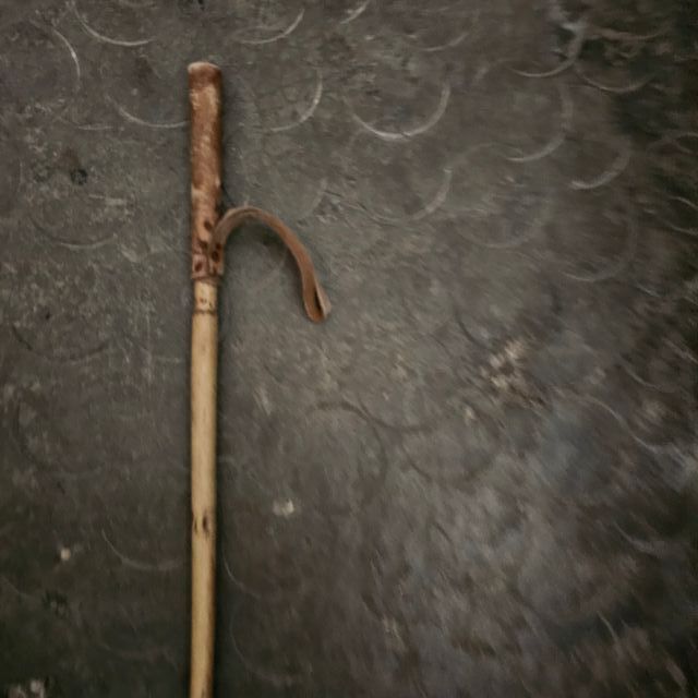 Frusta per Cavalli - Frusta in Legno