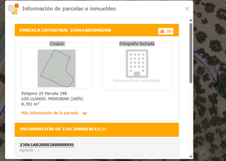 Finca olivos - 8781m2