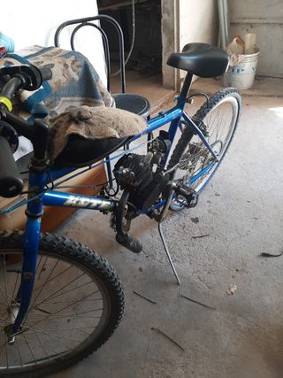 Bicimoto kotek 