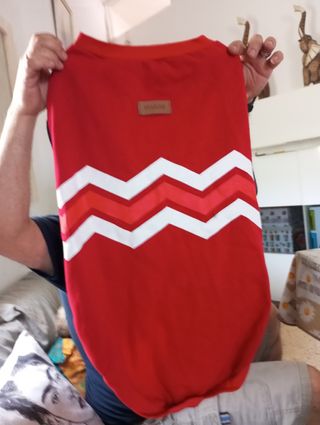 Ropa perro grande - XL,correa ,pechera ,bozal 
