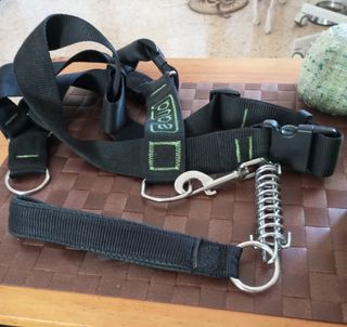 Ropa perro grande - XL,correa ,pechera ,bozal 