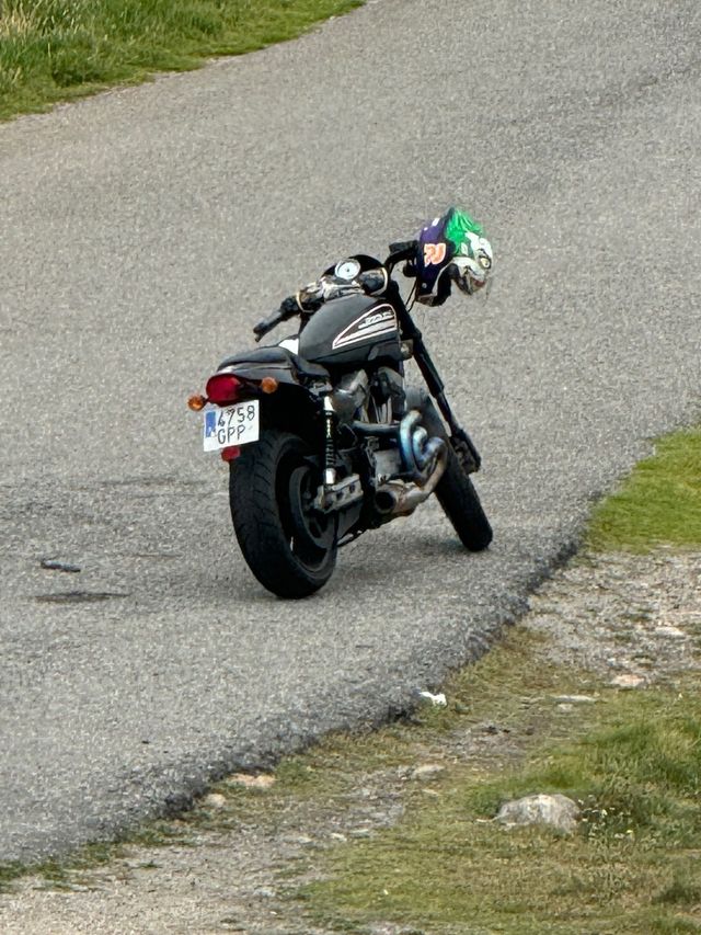 Harley Davidson XR1200 