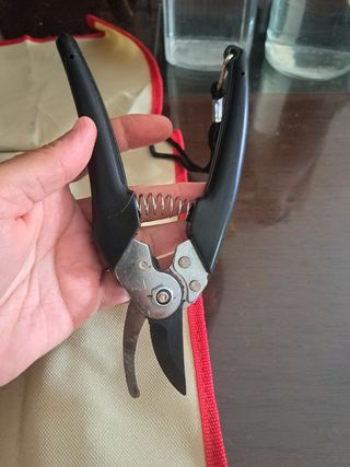 Kit Bonsái Mistral: Trasplante