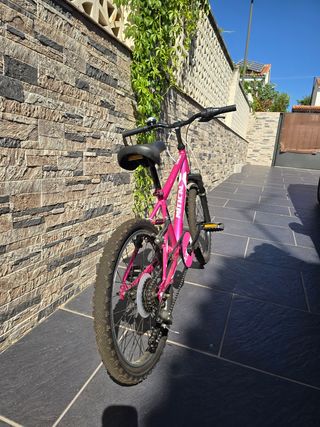 Bicicleta niña fucsia Charm 205