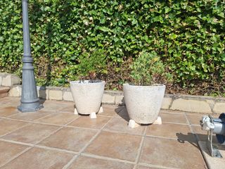 2 Macetas piedra blancas