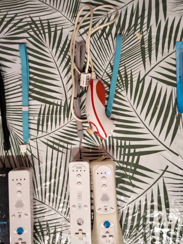 Wii blanca + juegos y mandos