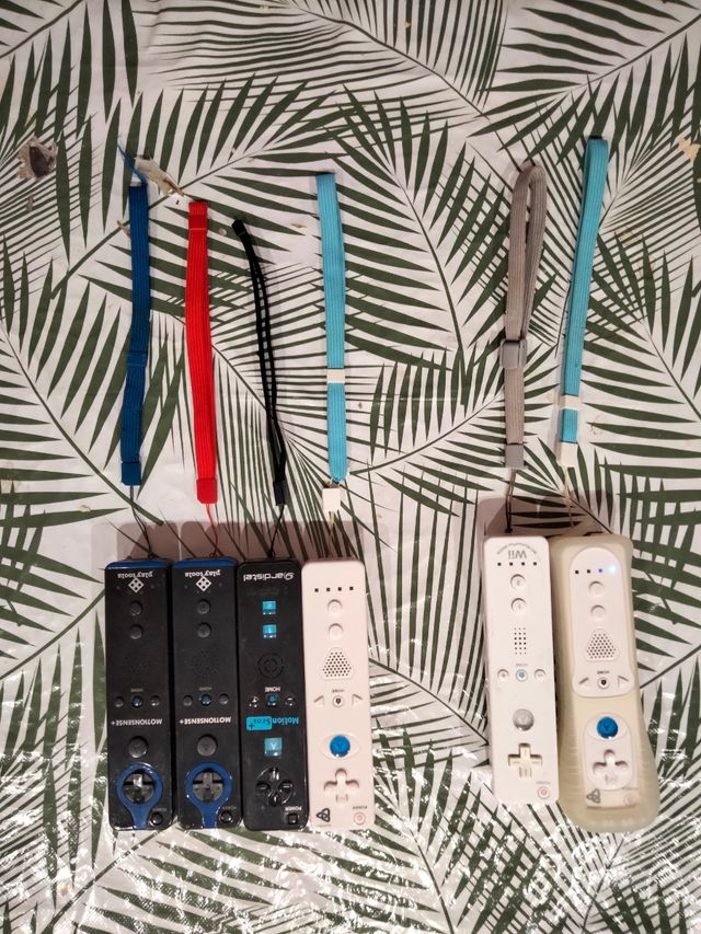 Wii blanca + juegos y mandos