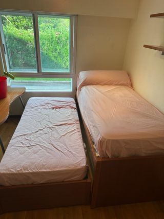 Dormitorio juvenil: cama nido + estanterías. 