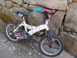 Bicicleta infantil niña 6-8 años