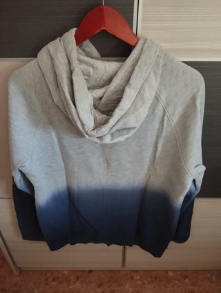 Sudadera Hollister con capucha