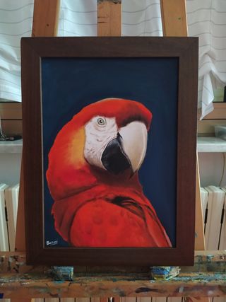Quadro olio su tavola pappagallo rosso
