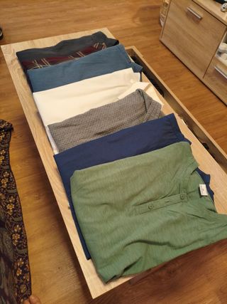 Lote camisas. 7 colores y varias MARCAS