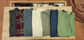 Lote camisas. 7 colores y varias MARCAS