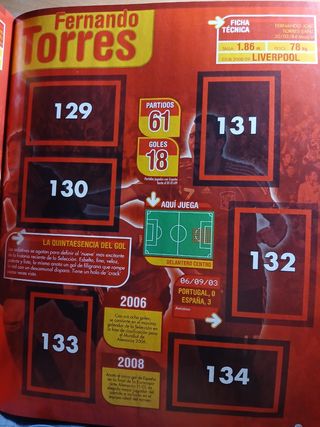 Álbum cromos España 2009 PANINI