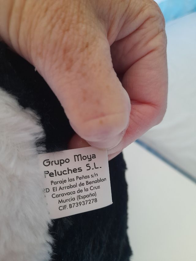 Panda de ojos azules
