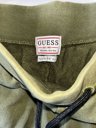 Bermudas Guess