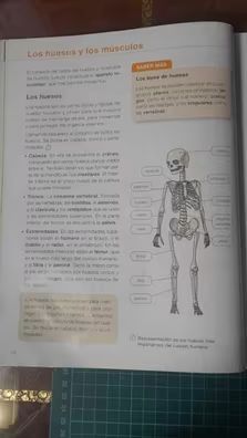 Ciencias de la Naturaleza 3 Primaria