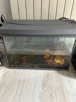 Pecera acuario 70 litros