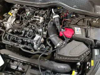 AdBlue grupo psa