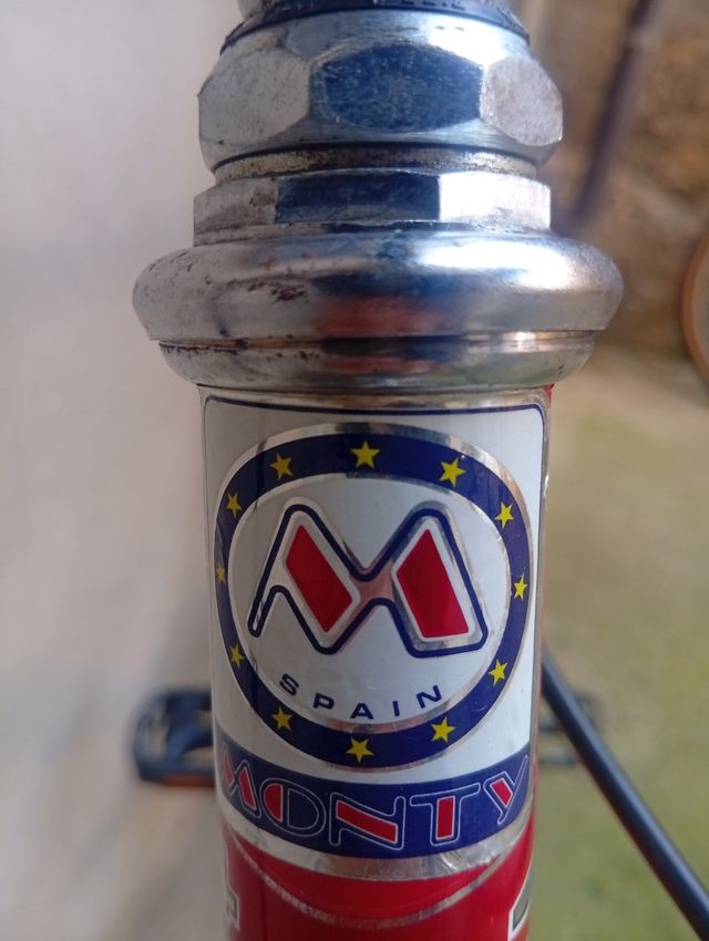 Bicicleta Montaña Monty